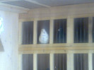 26022012269