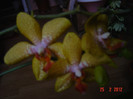 poze 134