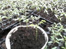 P26-02-12_10.01[2]