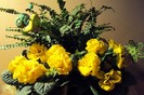 DSC06433