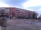 IMAG2160