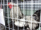 SN853999
