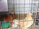 SN854029