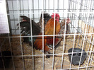 SN854027