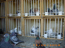 Picture 082
