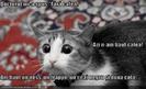 images (17)