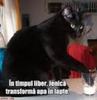 images (10)