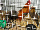 DSC09257
