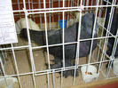 DSC09268