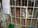 DSC09276