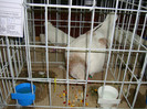 DSC09277