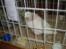 DSC09280
