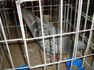DSC09294