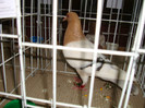 DSC09299