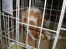DSC09301