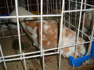 DSC09304