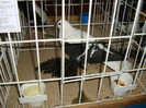 DSC09306