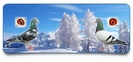 RRP-Banner-Winter-2