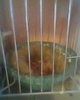 fotogr.0080