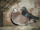 DSCF0622