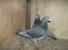 DSCF0628