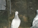 DSCF0638