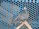 DSCF0647
