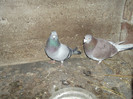 DSCF0658
