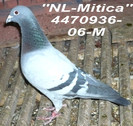 4.470936.06. M  NL Mitica
