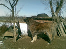 28022012