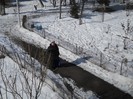 ce fac ăştia vecină???