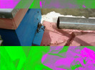 albine zbor de curatire-26.02  6 grade
