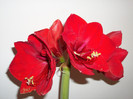 28 FEB 2012