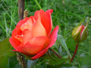 Gebruder Grimm3