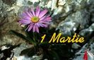 1_martie17