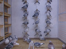 DSCN0443