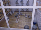 DSCN0444