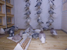 DSCN0446