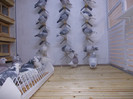 DSCN0456