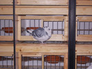 DSCN0471