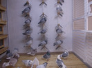 DSCN0436