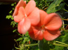 DSCN2308