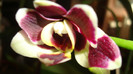 DSC05360
