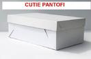 cutie-pantofi