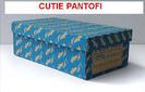 cutie-pantofi-COLORATA