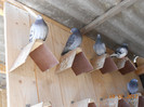 DSCN0367