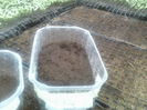P29-02-12_13.24[5]