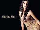 1288250942_1024x768_beautiful-katrina-kaif