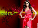 katrina-kaif-wallpaper2