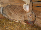 Picture 3473